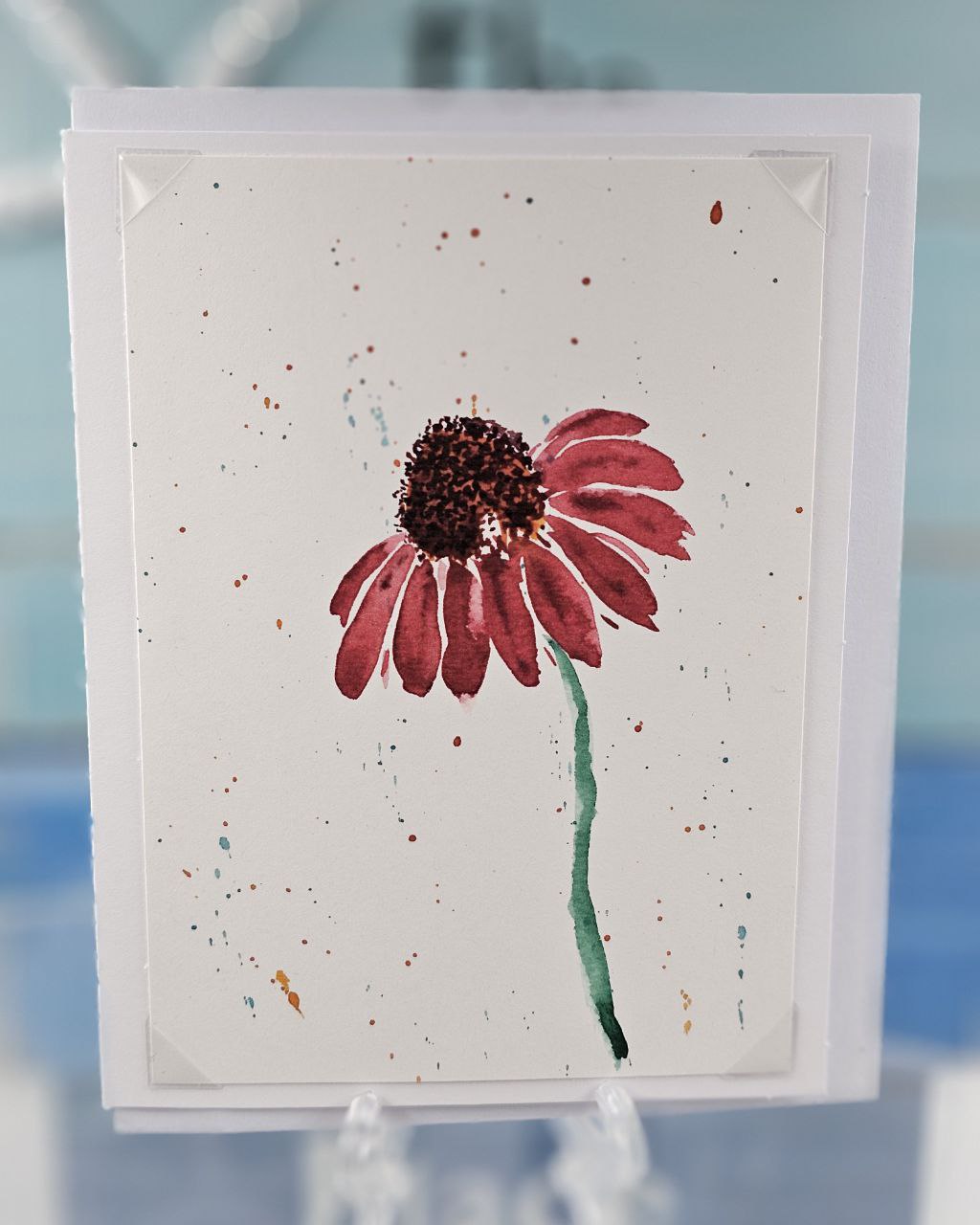 Red and Blue Daisies Card Set