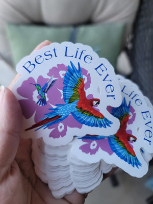Best Life Ever Parrot & Hummingbird Sticker